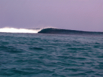 If you love to surf Eratap resort also have some great waves around the resort.